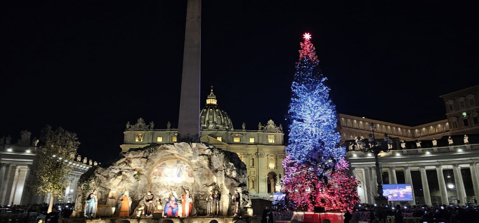 Piazza San Pietro A Roma Si Illumina Con L Albero Di Natale Piemontese