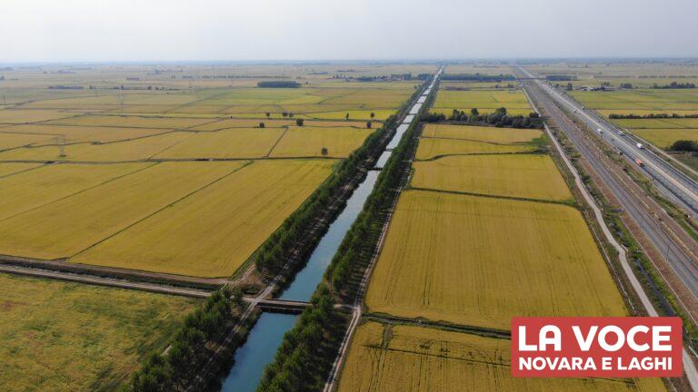 Canale Cavour - la Voce Novara e Laghi